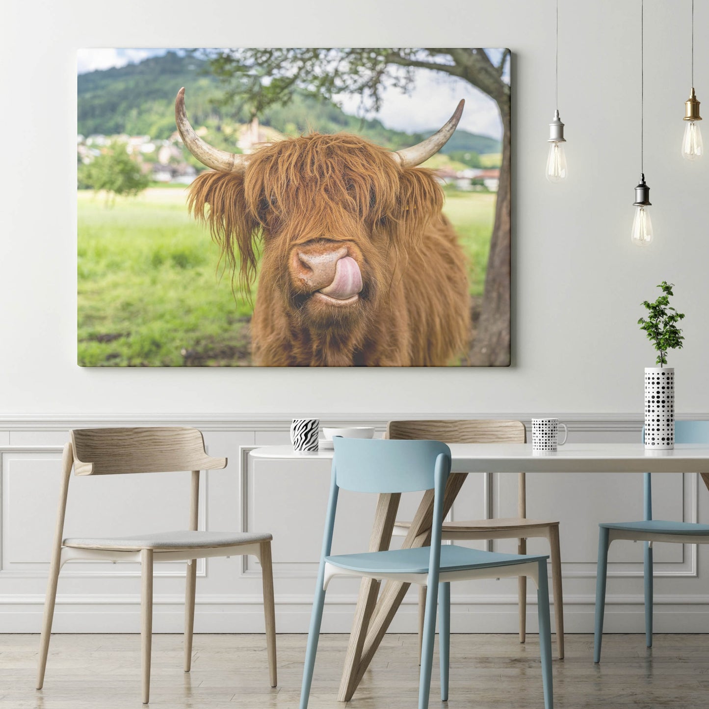 Highland Cow