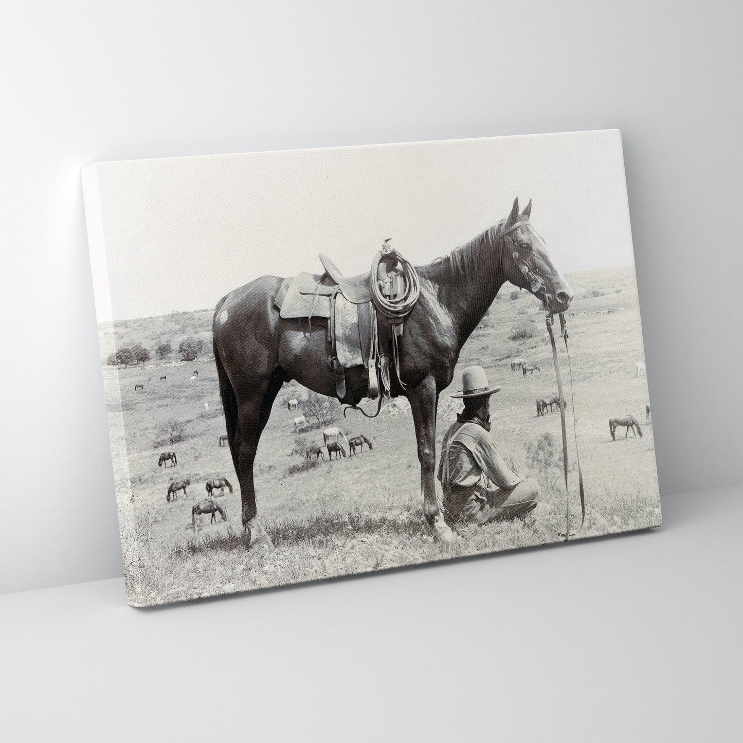 Texas Cowboy 1910