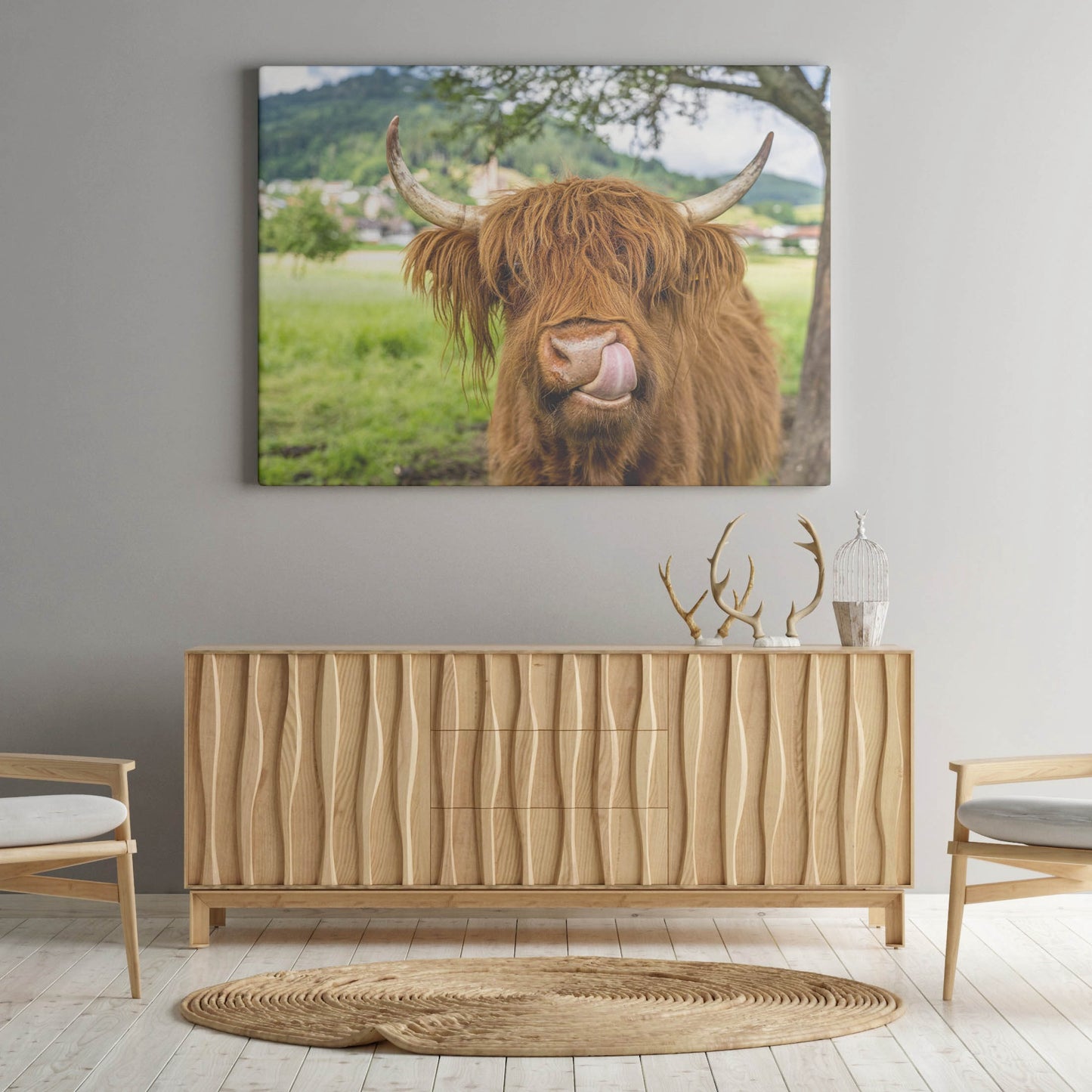 Highland Cow